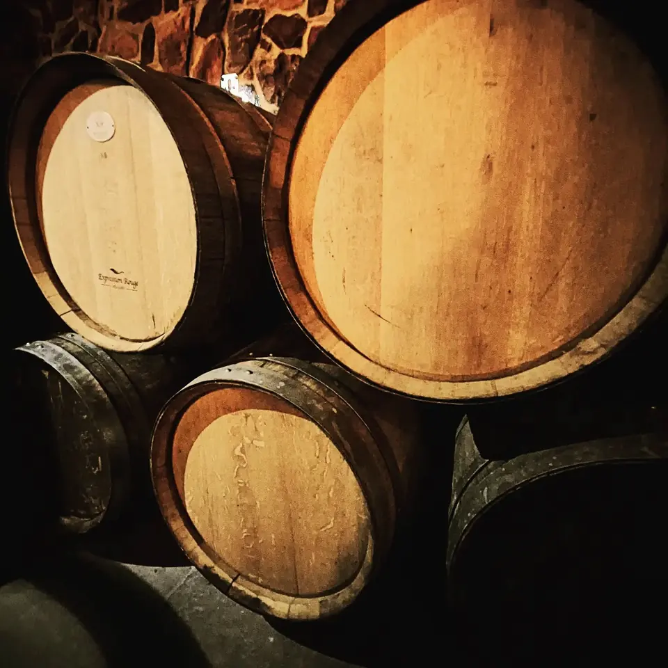 Wijnvaten in de historische ruimte van Vinscape