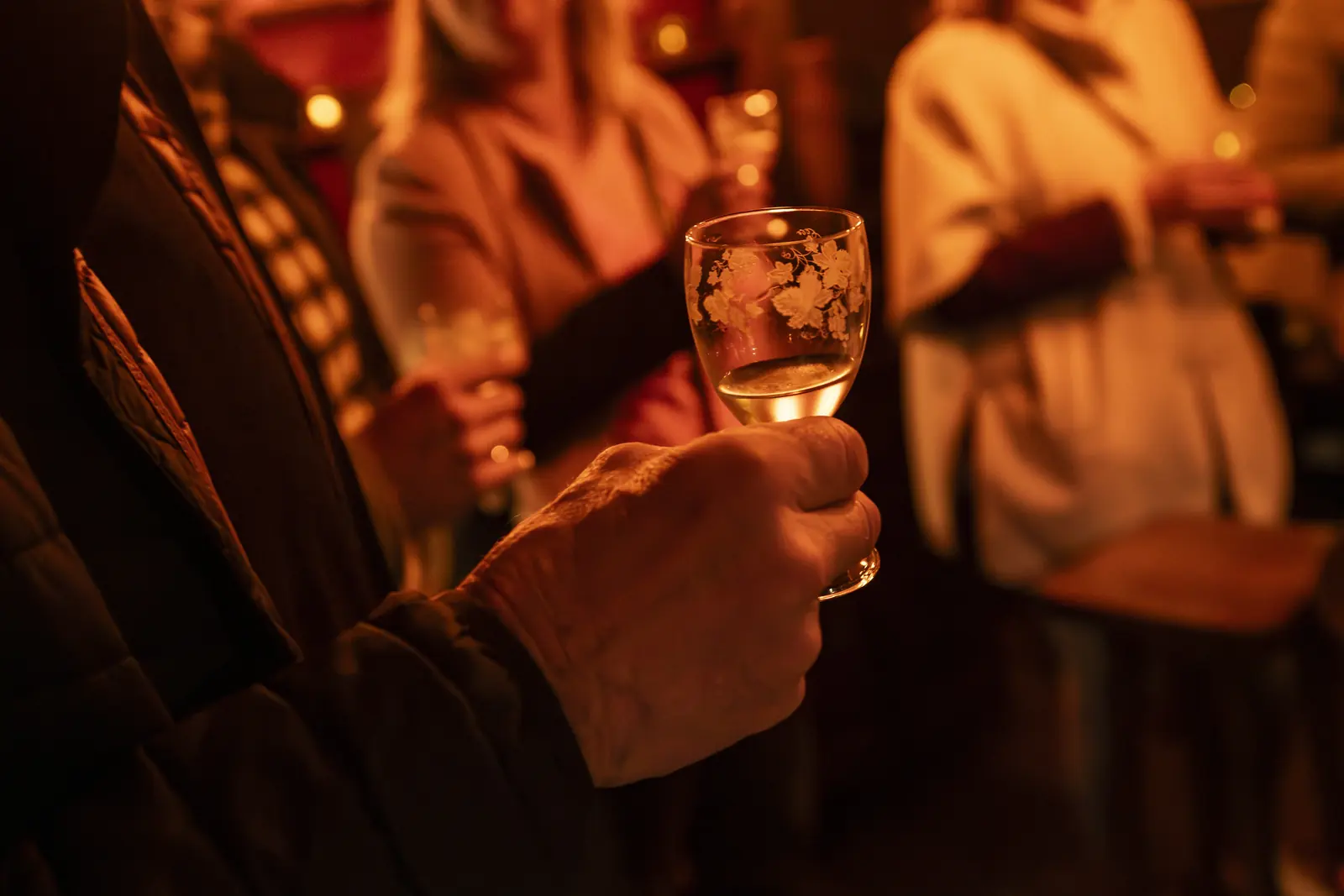 Deelnemers klinken tijdens de Vinscape-degustatie